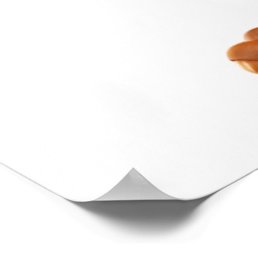 Affiche de Thanksgiving Western Turkey (Coin)