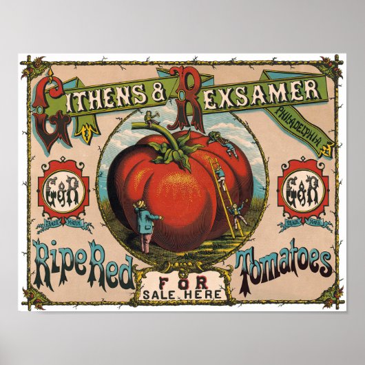Affiche de Tomates Rouges Mûres Vintage (Devant)