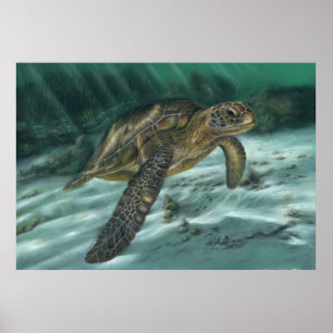 Affiche de tortue de mer