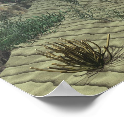 Affiche de tortue luth (Coin)