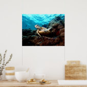 Affiche de tortue volante (Cuisine)