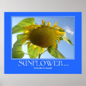 Affiche de tournesol (Devant)