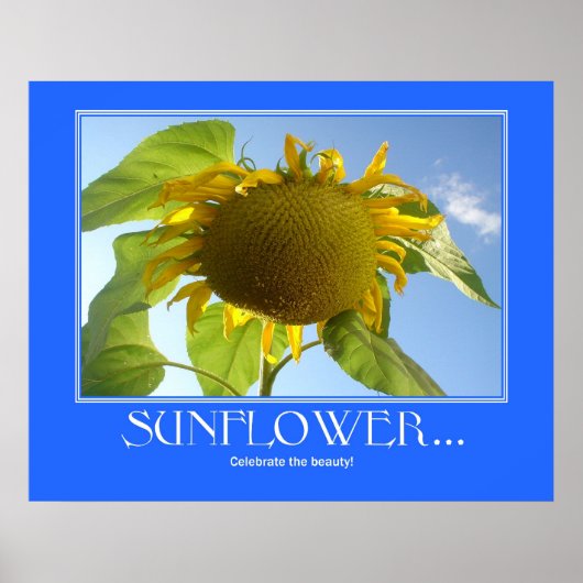 Affiche de tournesol (Devant)