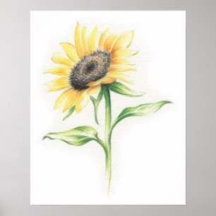 Affiche de tournesol