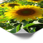 Affiche de tournesol inspirante (Coin)