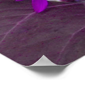 Affiche de tournesol violet (Coin)