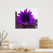 Affiche de tournesol violet (Cuisine)