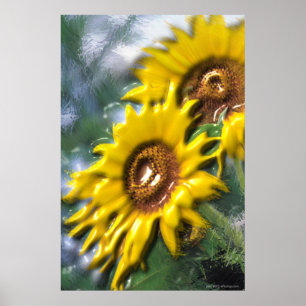 Affiche de tournesols
