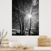 Affiche de traçabilité de branche Sun et arbre (Cuisine)