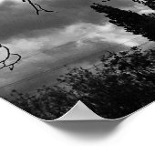 Affiche de traçabilité de branche Sun et arbre (Coin)