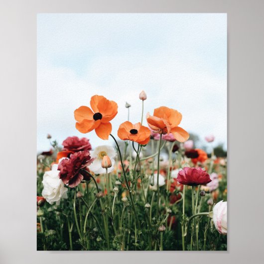 Affiche de trio de fleurs orange (Devant)