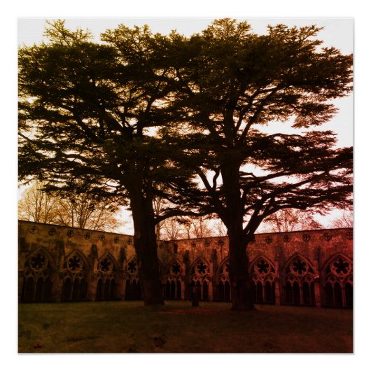 Affiche de Tryst of Trees (Devant)