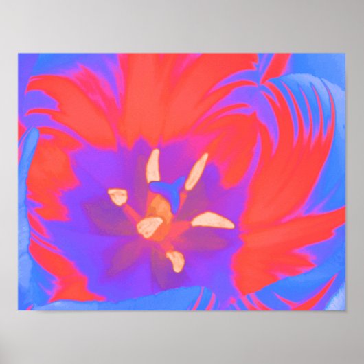 Affiche de tulipe fluorescente (Devant)