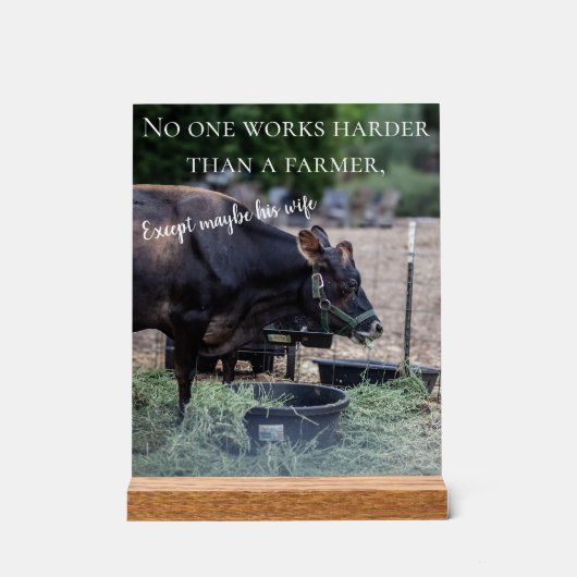 affiche de vache (Recto)