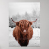 Affiche de vache des Highlands Ferme rustique Écos (Devant)
