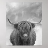 Affiche de vache Highland Écosse nuages noir blanc (Devant)