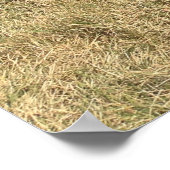 Affiche de vente Citrouille d'automne (Coin)