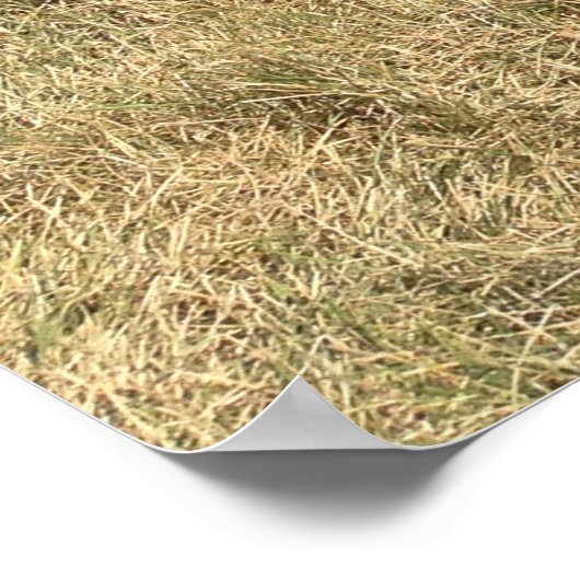 Affiche de vente Citrouille d'automne (Coin)