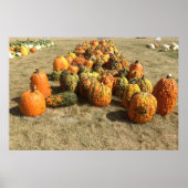 Affiche de vente Citrouille d'automne (Devant)