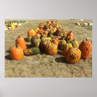 Affiche de vente Citrouille d'automne