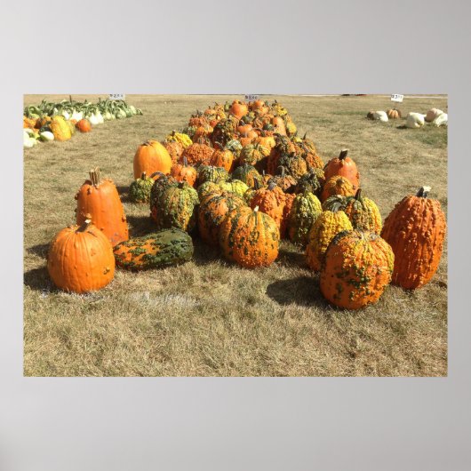 Affiche de vente Citrouille d'automne (Devant)