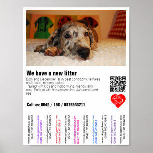 Affiche de vente de chiots avec code QR