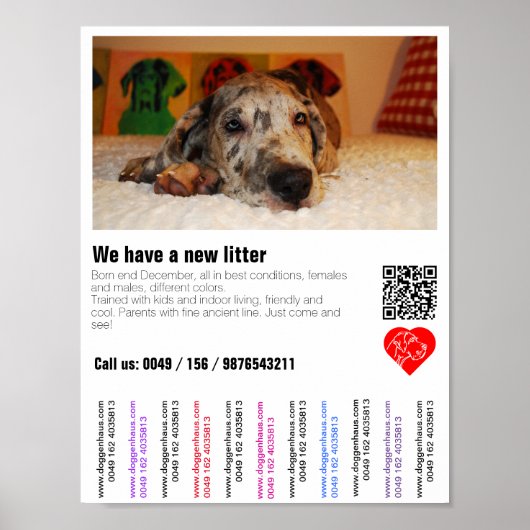 Affiche de vente de chiots avec code QR (Devant)