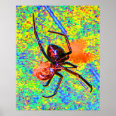 Affiche de veuve noire araignée mangeant (Devant)