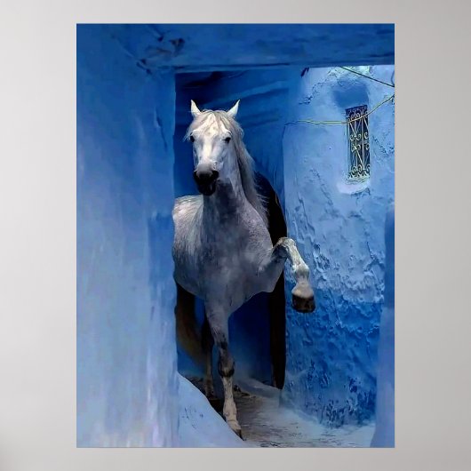 Affiche de voyage Cheval Blanc (Devant)