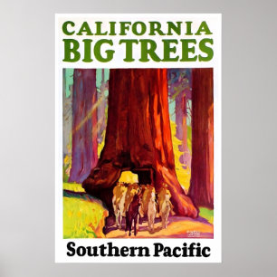 Affiche de voyage en Californie Redwoods Art du Su