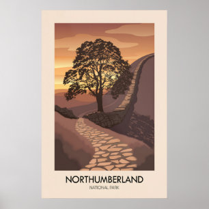 Affiche de voyage moderne du parc national de Nort