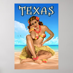 Affiche de voyage Texas Lone Star Sea Eagle Angour