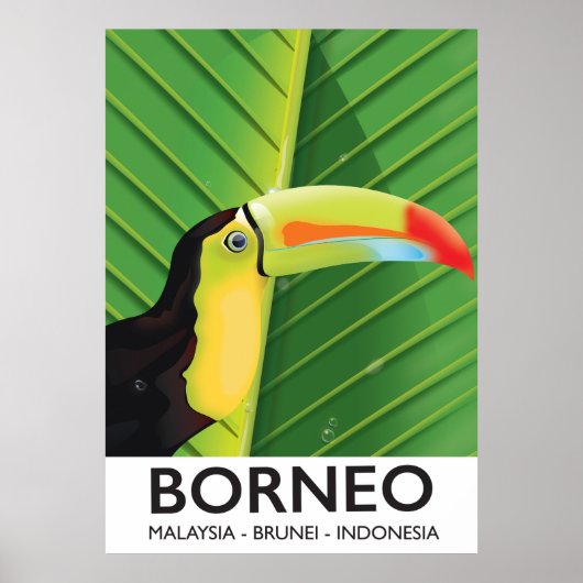 Affiche de voyage Toucan de Bornéo (Devant)