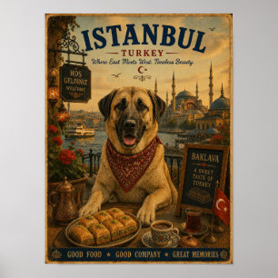 Affiche de voyage vintage de Kangal à Istanbul