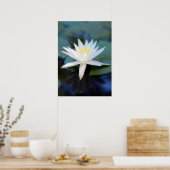 Affiche de Water Lily (Cuisine)