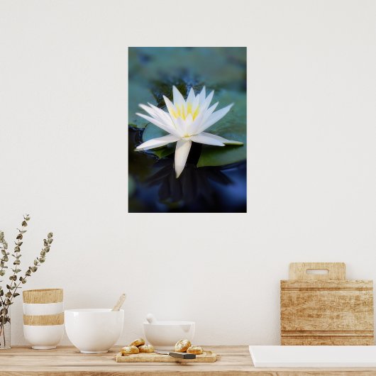 Affiche de Water Lily (Cuisine)