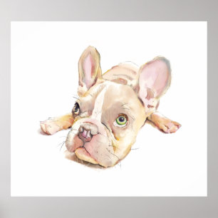 Affiche de watercolor de Bouledogue Français, Art 