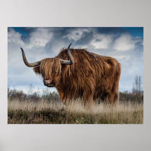 Affiche de Yak (Devant)