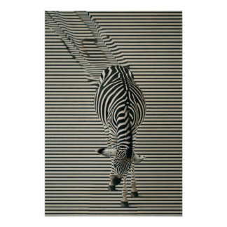 Affiche de Zebra-Optik | Art animal surréaliste