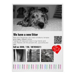 Affiche déchirante personnalisée de chiot Great Da