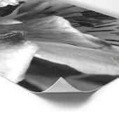 Affiche Déclaration d'amour (Coin)