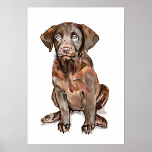 Affiche décoration murale Labrador Retriever, Cade