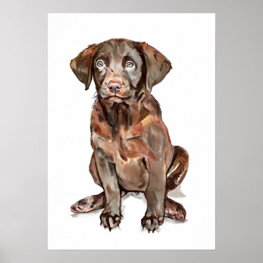 Affiche décoration murale Labrador Retriever, Cade (Devant)