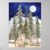 Affiche décoration murale lapin  Nuit étoilée (Devant)