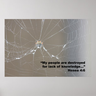 Affiche d'écriture sainte de 4:6 de Hosea, version