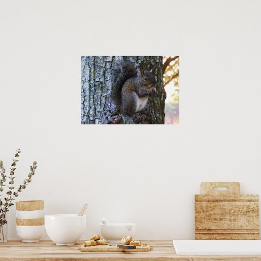 Affiche d'écureuil. (Cuisine)