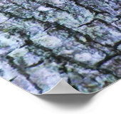 Affiche d'écureuil. (Coin)