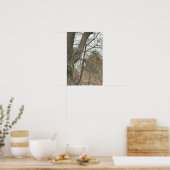 Affiche d'écureuil dans l'arbre (Cuisine)