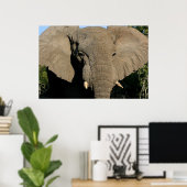 Affiche d'éléphant de taureau (Bureau à domicile)