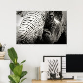 Affiche d'éléphant en noir et blanc (Bureau à domicile)
